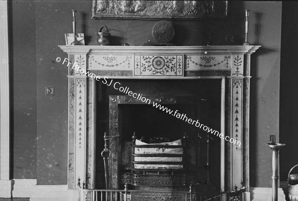 HERBERTSTOWN HOUSE FIREPLACE IN HALL